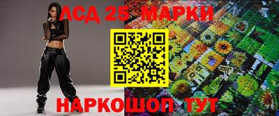 индика Боровичи
