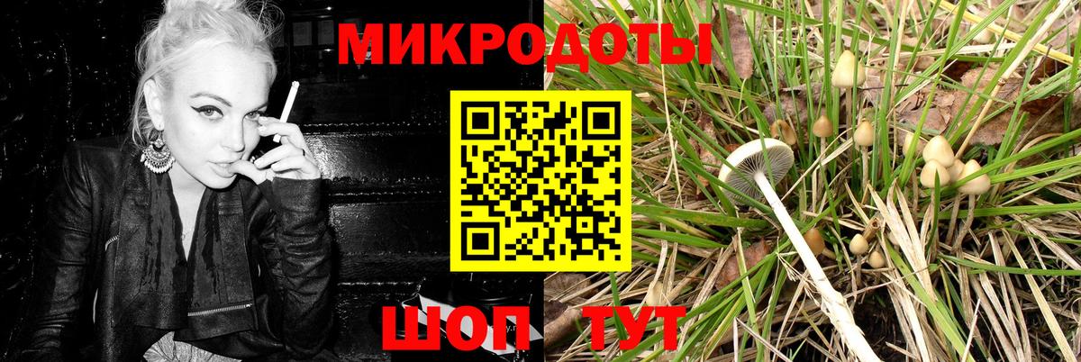 Псилоцибиновые грибы ЛСД Тайшет